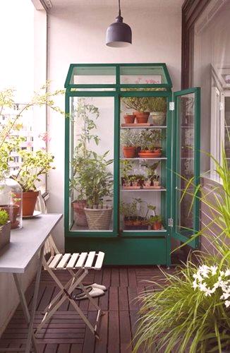 Rastlinjak na balkonu: rastlinjak v vašem stanovanju